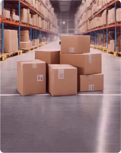 WAREHOUSE LOGISTICS WAREHOUSE LOGISTICS
